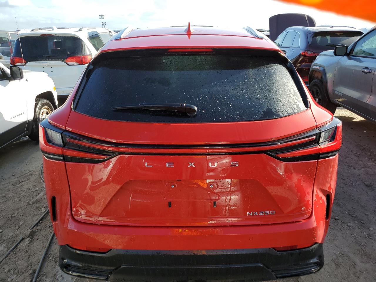 2024 Lexus NX - Image 6
