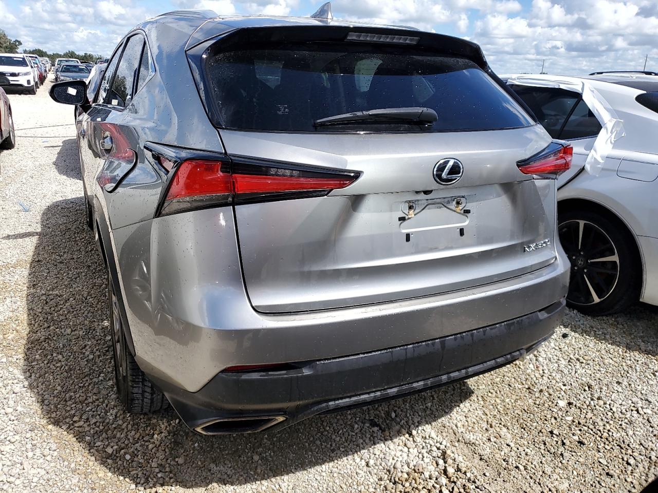 2020 Lexus Nx 300 Base VIN: JTJAARBZ2L2173042 Lot: 73918334