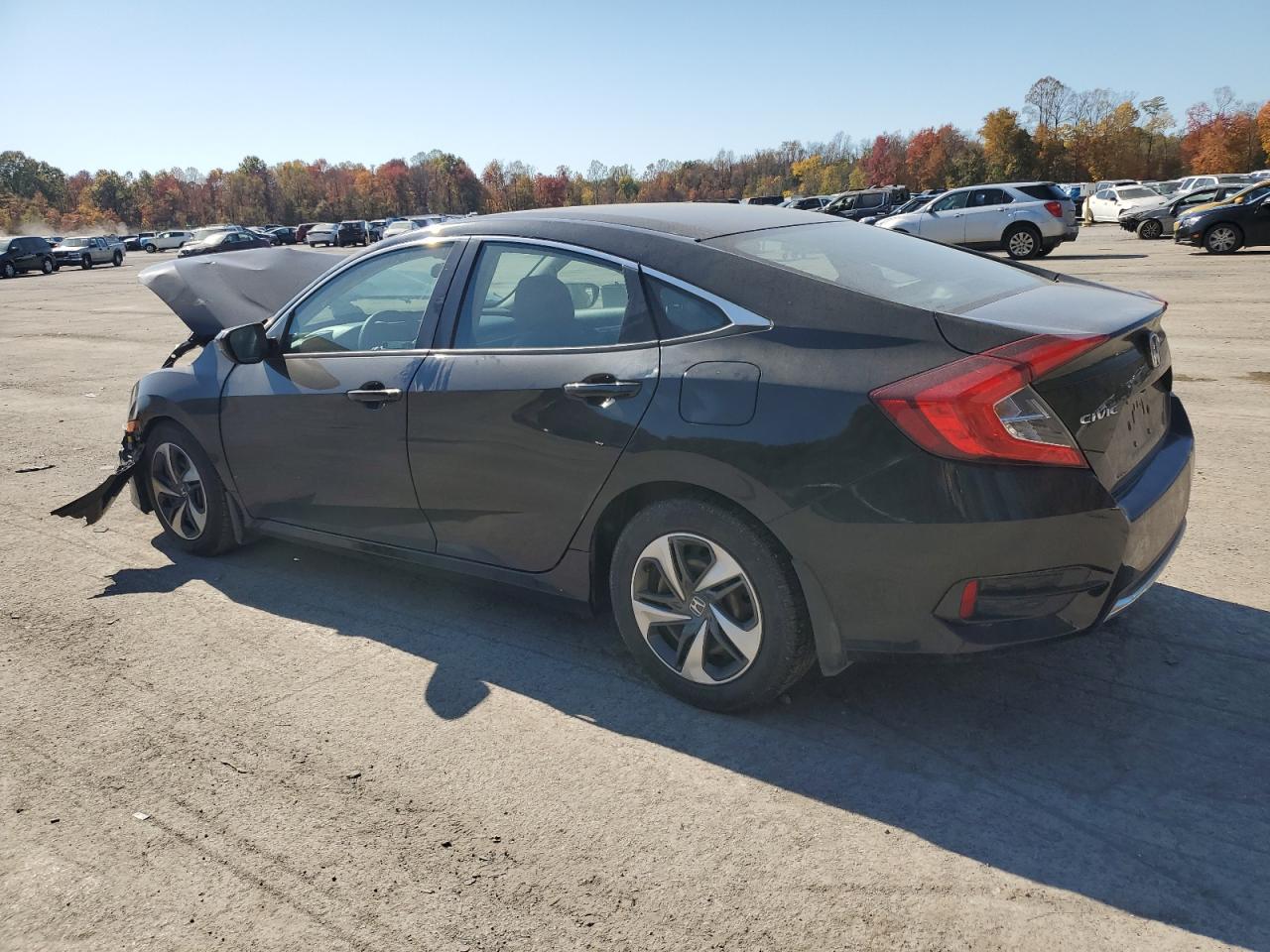 2019 Honda Civic - Image 2