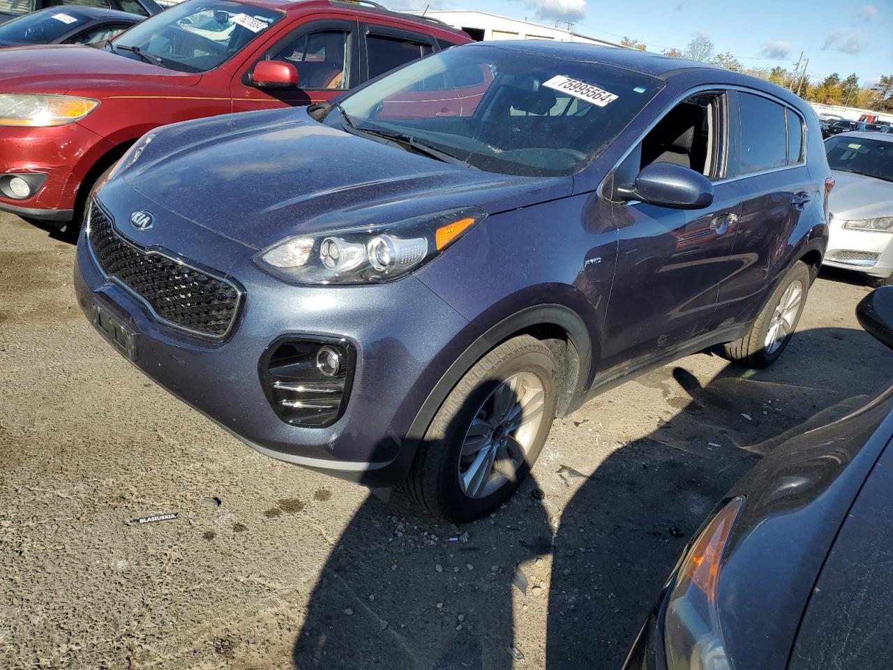 2019 Kia Sportage Lx VIN: KNDPMCAC4K7503313 Lot: 75995564