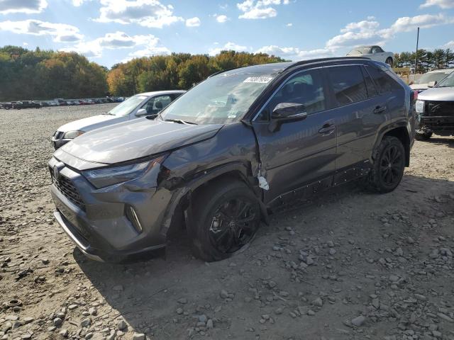 TOYOTA RAV4 XSE 2023