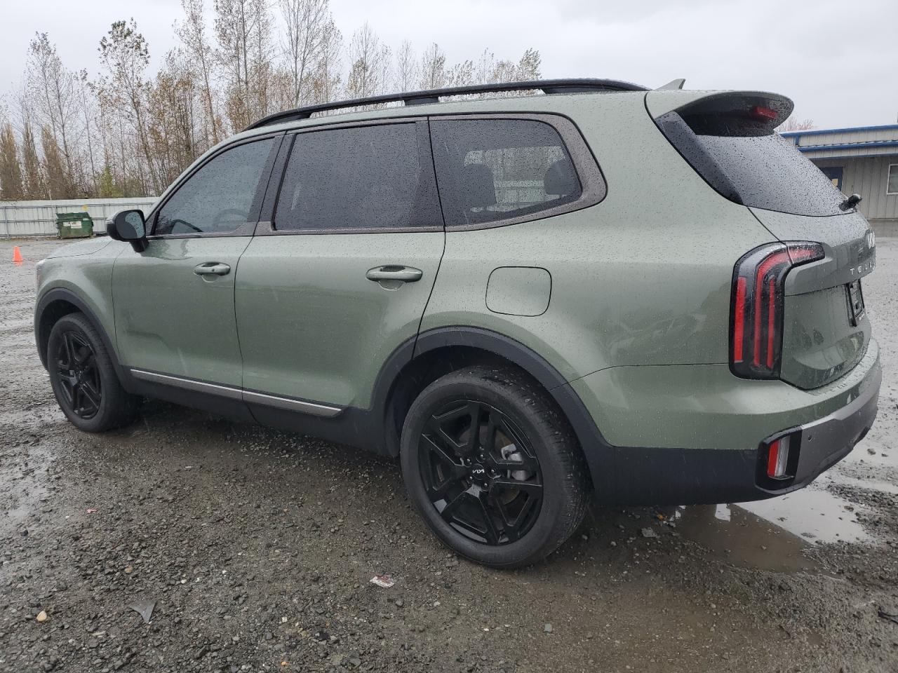 2023 Kia Telluride - Image 2