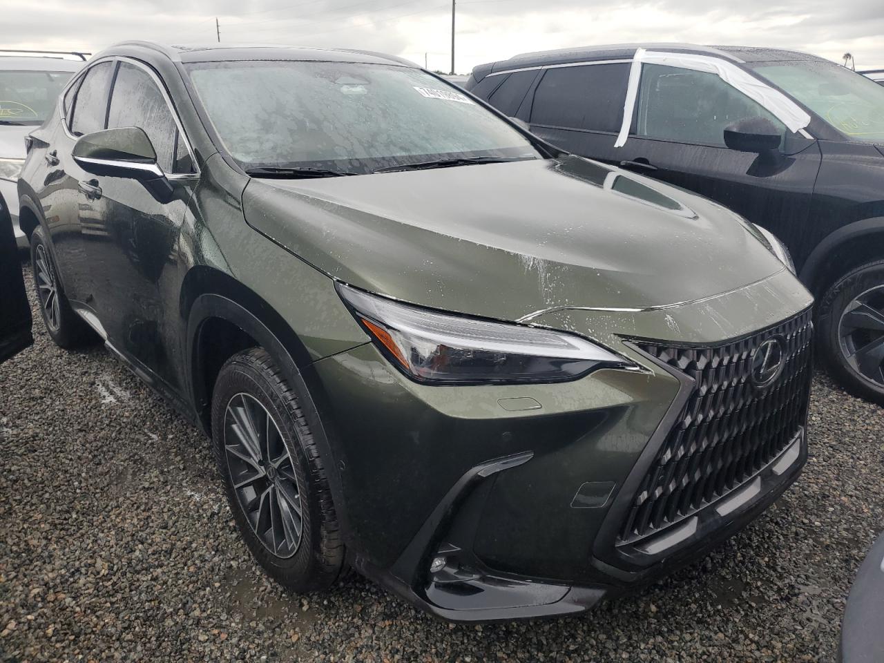 2024 Lexus NX - Image 4