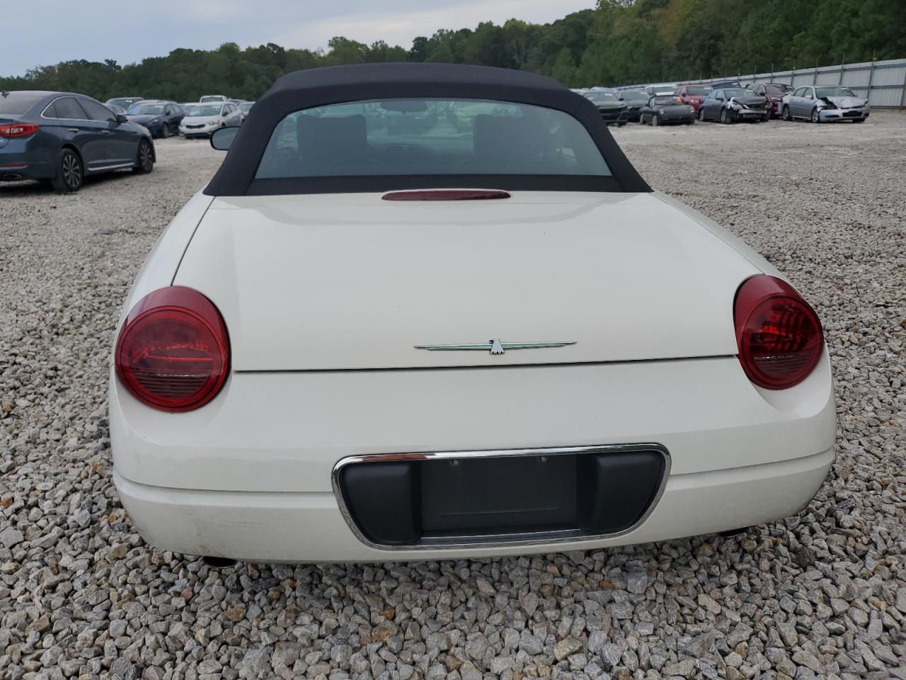 2002 Ford Thunderbird VIN: 1FAHP60A22Y117440 Lot: 74436834