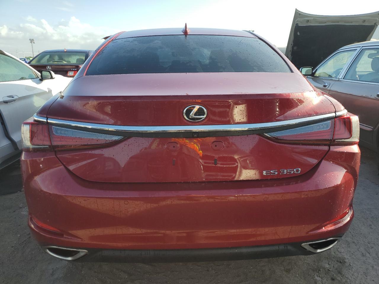 2019 Lexus Es 350 VIN: 58ABZ1B18KU025688 Lot: 77121754