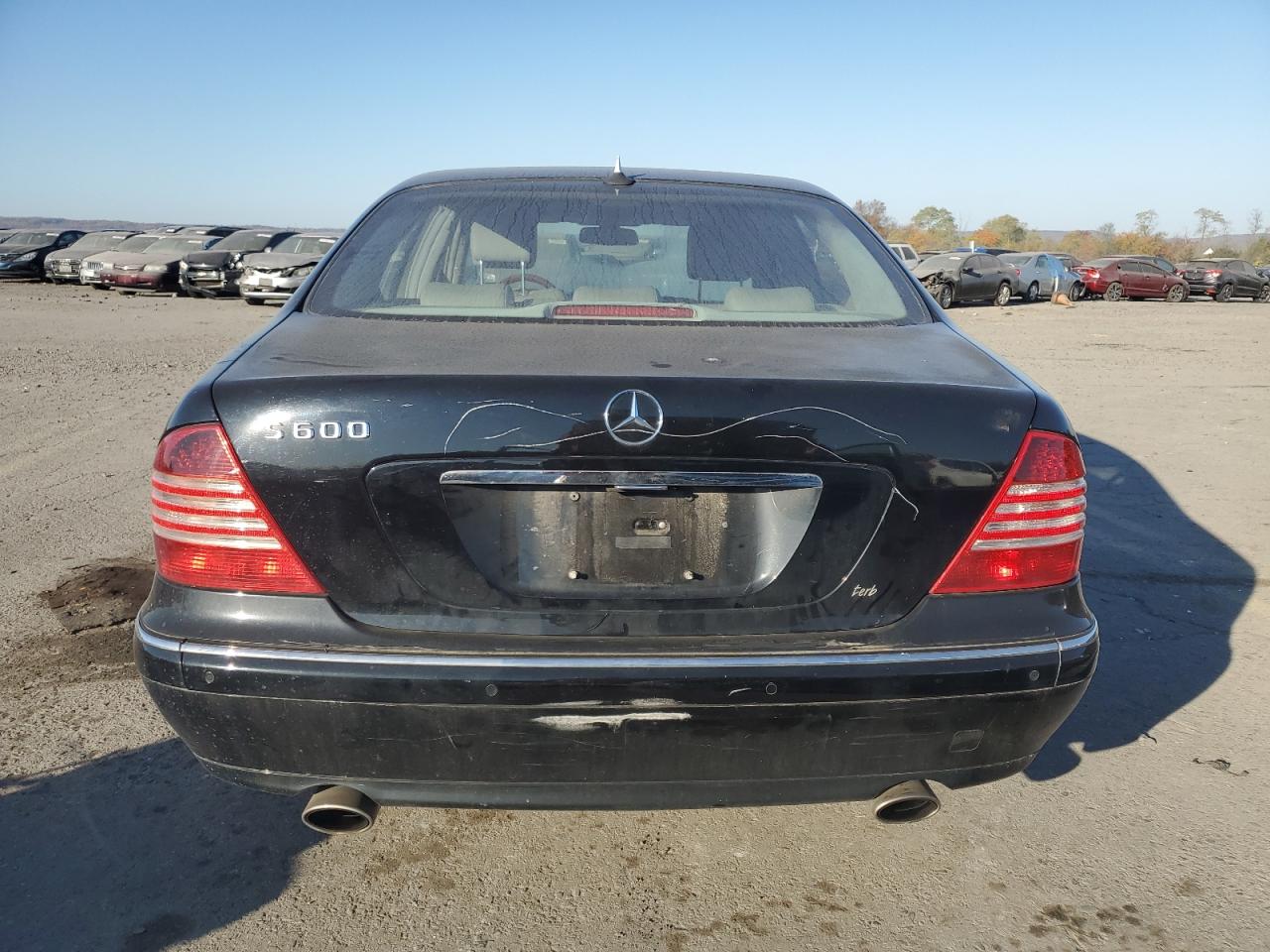 2004 Mercedes-Benz S 600 VIN: WDBNG76J24A430122 Lot: 76735954