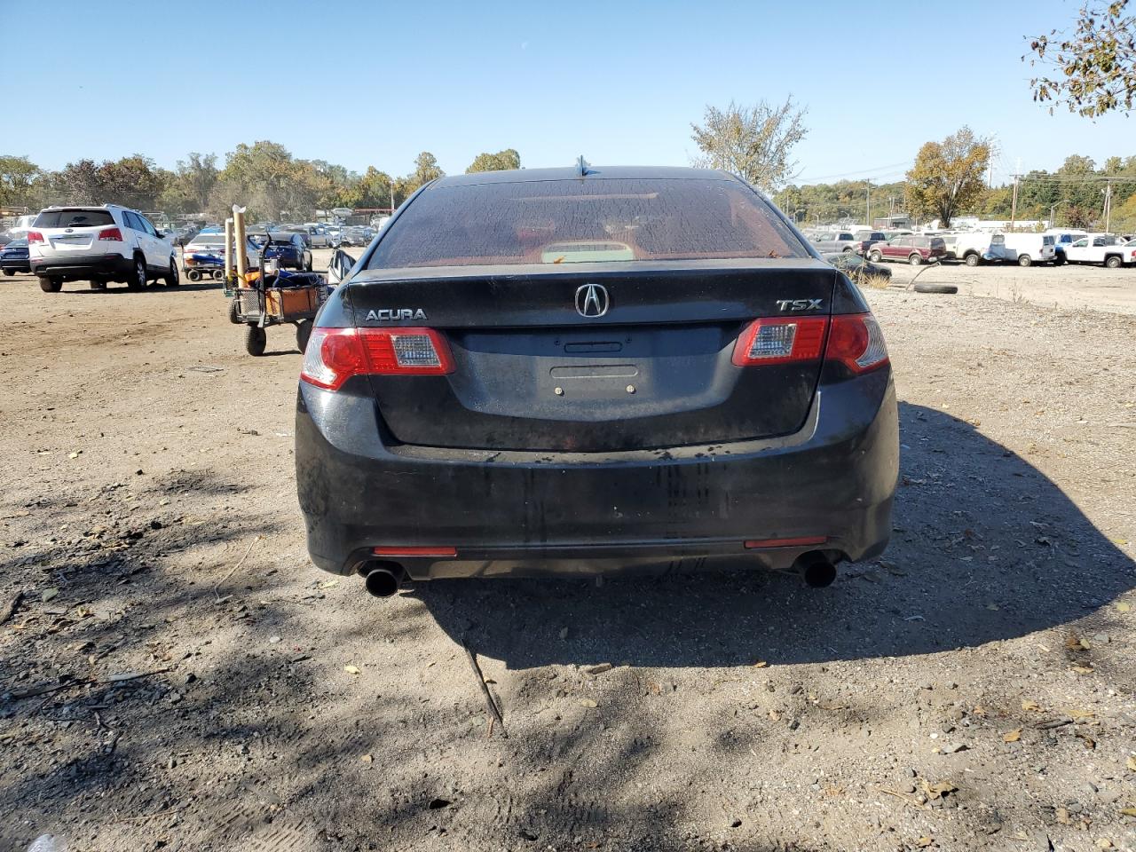 2009 Acura Tsx VIN: JH4CU26699C014546 Lot: 76901874