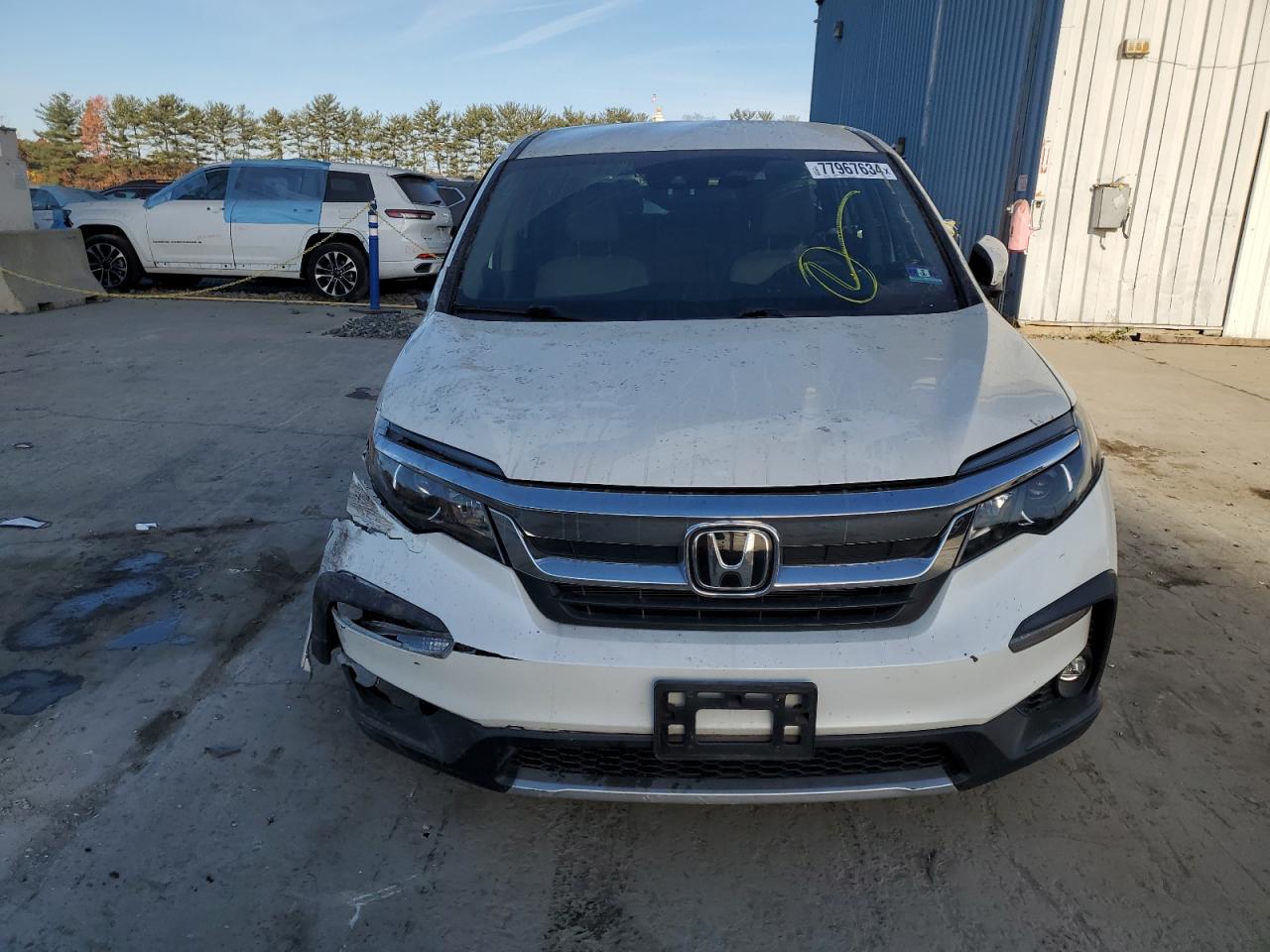 2019 Honda Pilot Ex VIN: 5FNYF6H33KB027894 Lot: 77967634