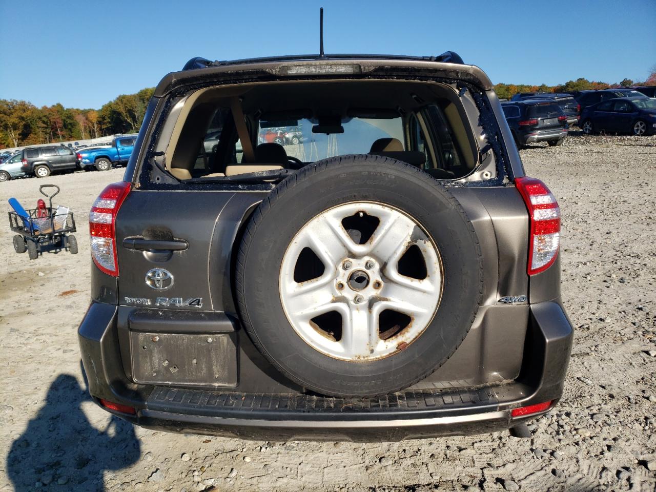 2010 Toyota Rav4 VIN: 2T3BF4DV6AW049026 Lot: 75167564