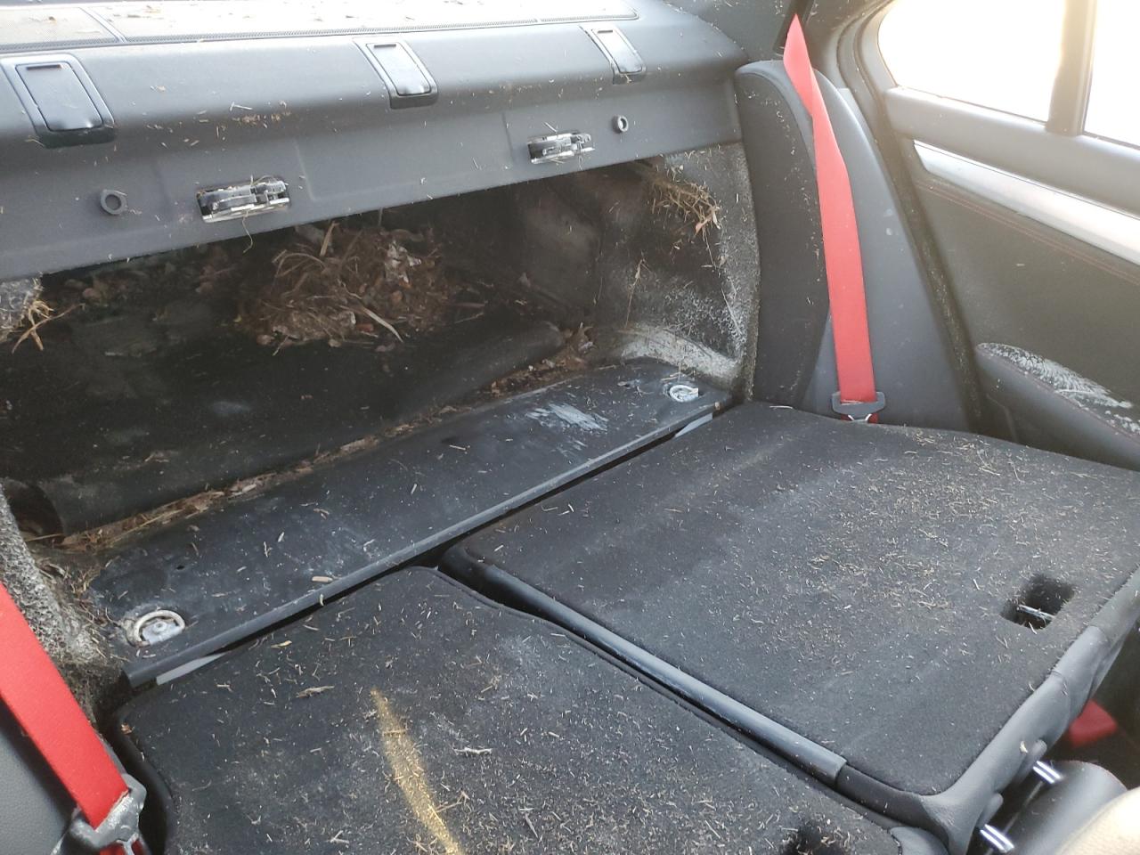 2013 Mercedes-Benz C 300 4Matic VIN: WDDGF8AB8DR283184 Lot: 74024664