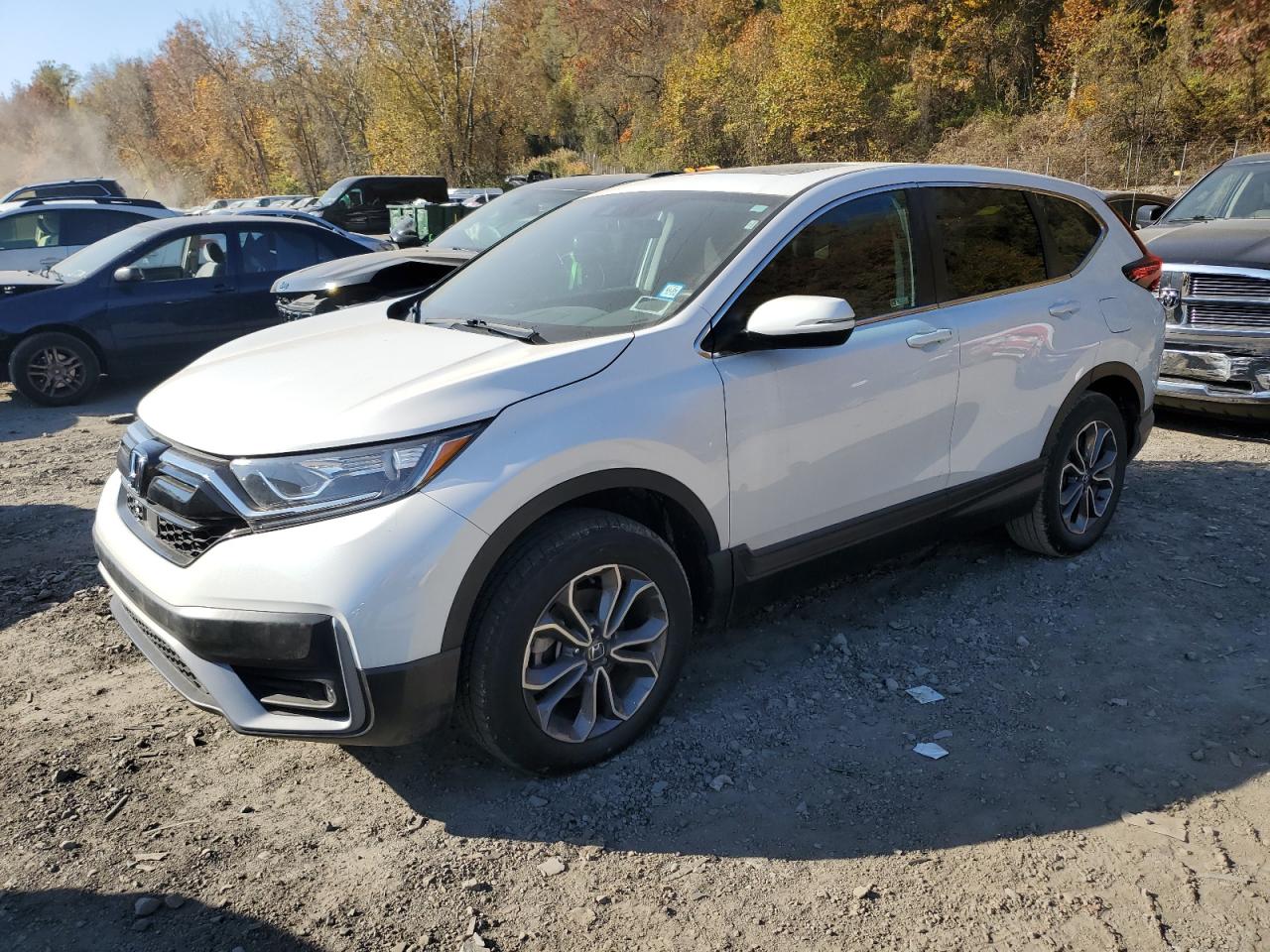 2022 Honda CR-V - Image 1
