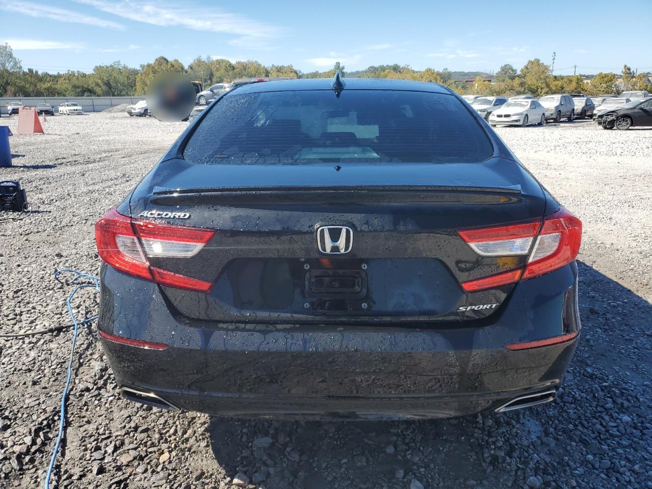 2021 Honda Accord Sport VIN: 1HGCV1F37MA095230 Lot: 76888544