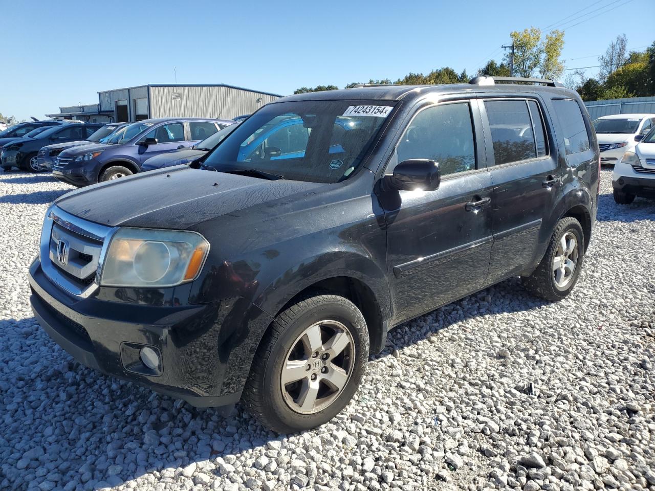 2011 Honda Pilot Exl VIN: 5FNYF4H66BB021537 Lot: 74243154