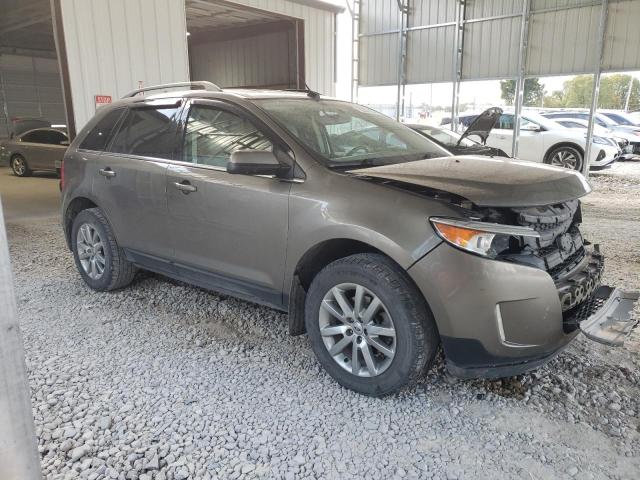  FORD EDGE 2013 Колір засмаги
