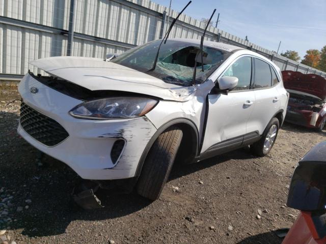  FORD ESCAPE 2020 Белый