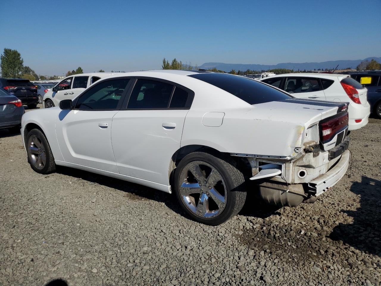 VIN 2C3CDXHG3EH230490 2014 DODGE CHARGER no.2