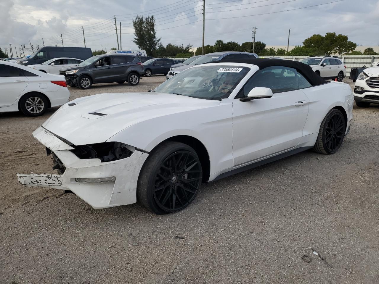 2019 Ford Mustang VIN: 1FATP8UH5K5148776 Lot: 77580844