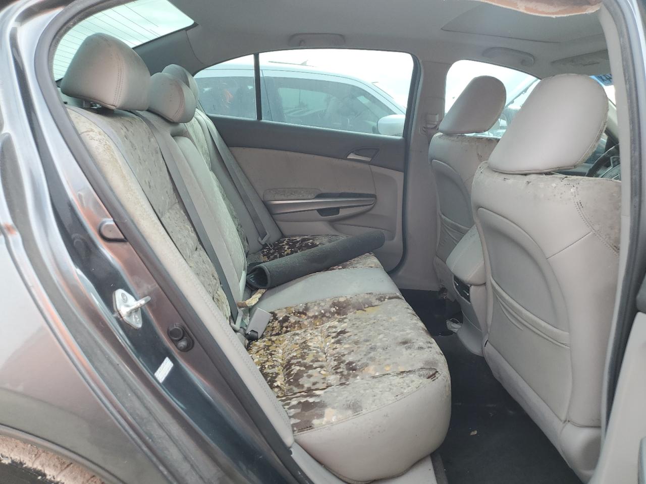 2010 Honda Accord Exl VIN: 1HGCP2F82AA167216 Lot: 76510814