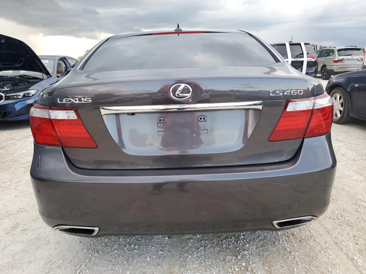 2009 Lexus Ls 460 VIN: JTHBL46F795088126 Lot: 74317014