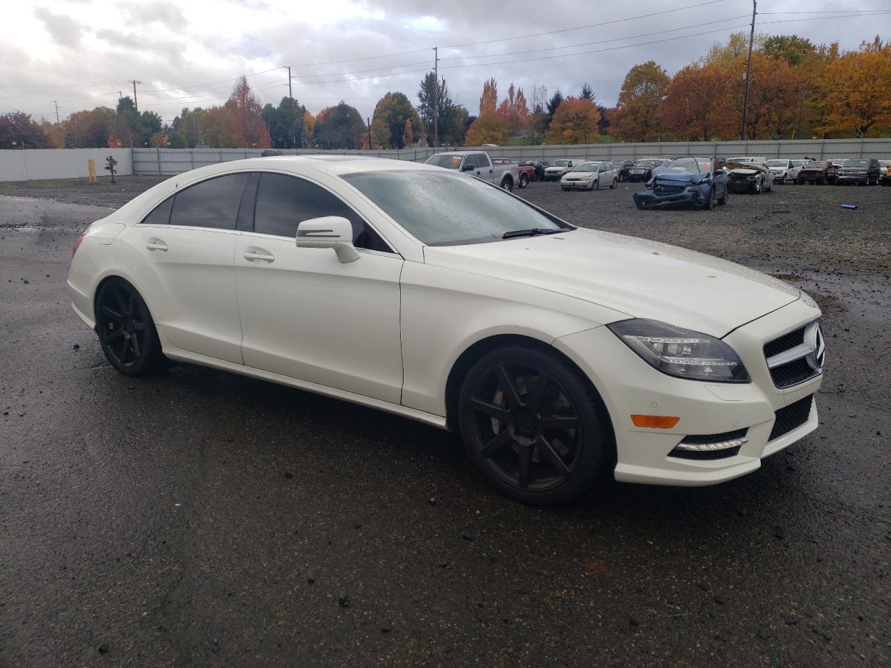 2013 Mercedes-Benz CLS-klasse - Image 4
