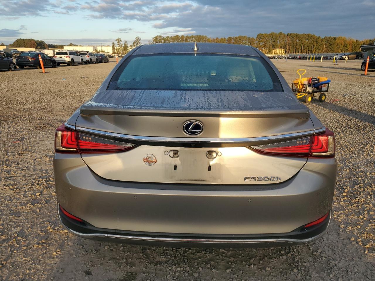 2019 Lexus Es 300H VIN: 58AB21B18KU002299 Lot: 78173964