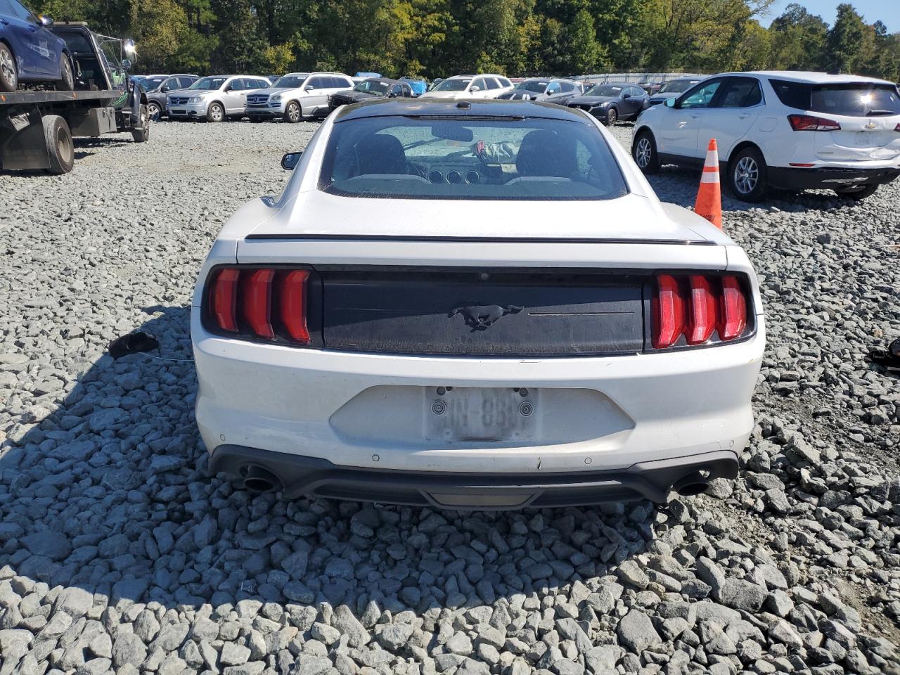 1FA6P8TH9K5191306 2019 Ford Mustang