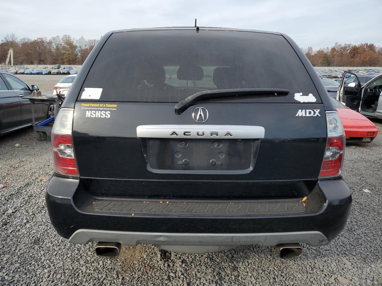 2006 Acura Mdx Touring VIN: 2HNYD18896H550934 Lot: 77642664