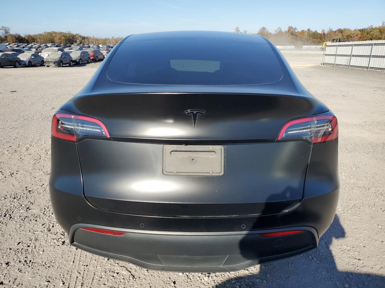 2022 Tesla Model Y VIN: 7SAYGAEE2NF337516 Lot: 78777104