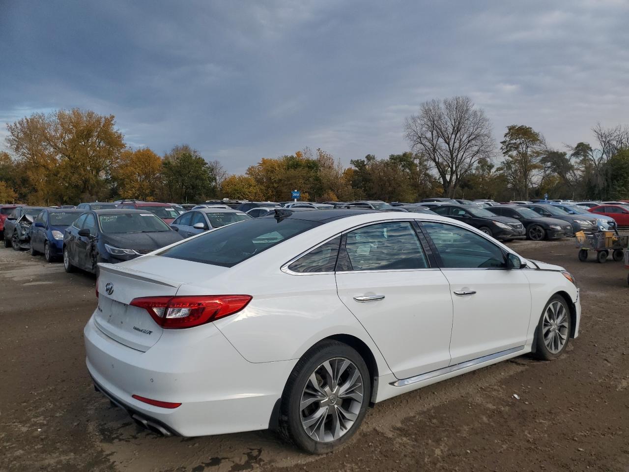 5NPE34AB6HH497719 2017 Hyundai Sonata Sport