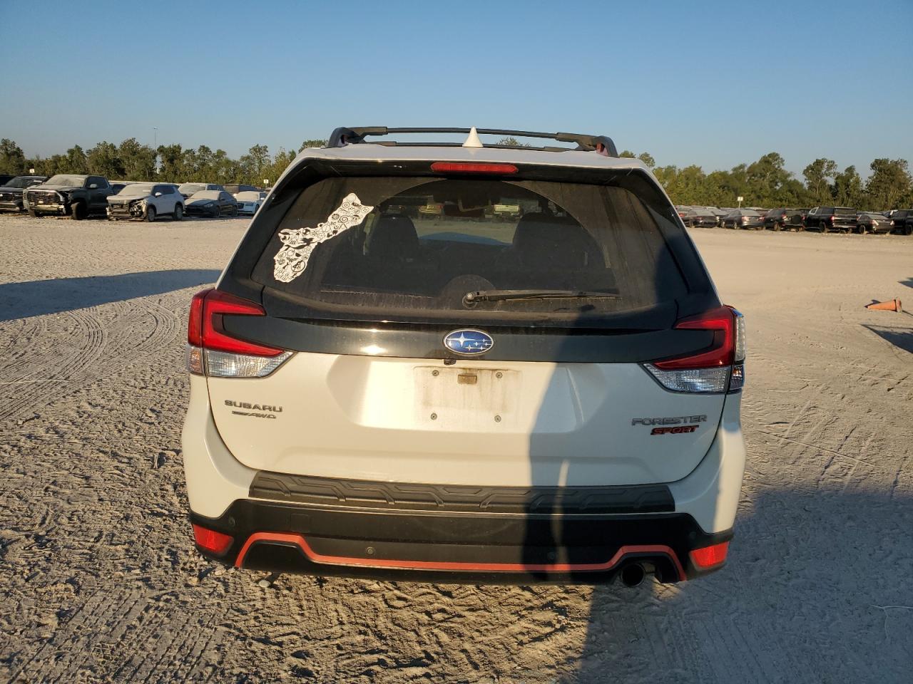 2019 Subaru Forester Sport VIN: JF2SKAPC3KH506372 Lot: 74854854