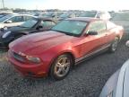 2010 Ford Mustang  продається в Midway, FL - Water/Flood