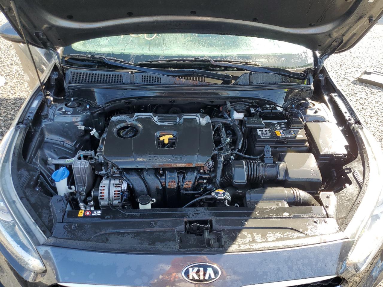 2021 Kia Forte Fe VIN: 3KPF24AD7ME364202 Lot: 75980824