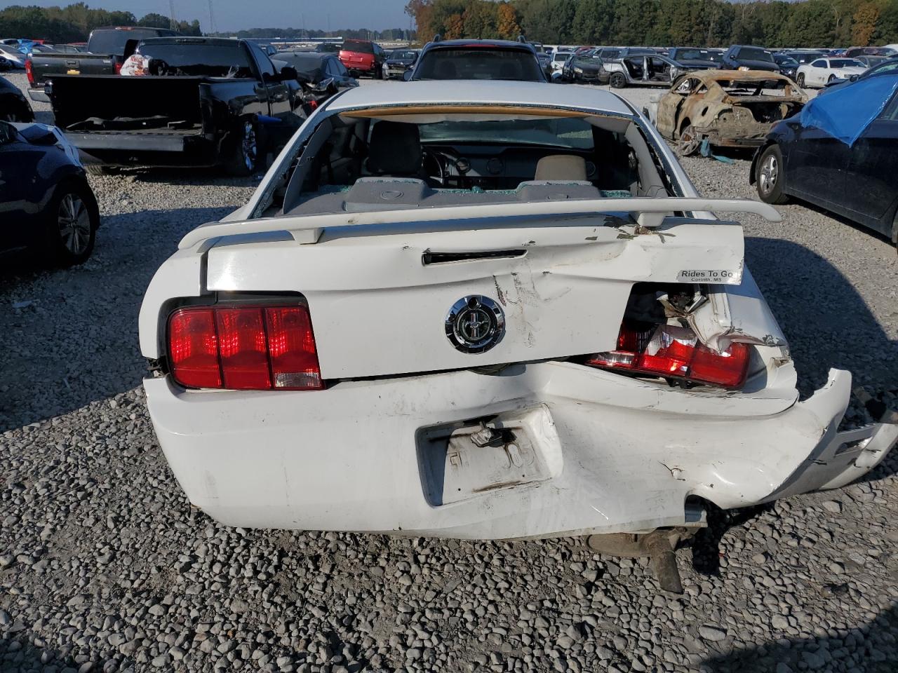 2006 Ford Mustang VIN: 1ZVFT80NX65110770 Lot: 78024964