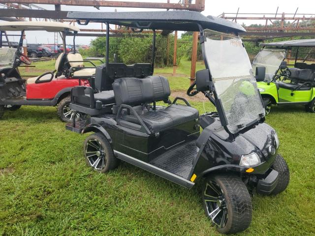 2021 Evol Golf Cart