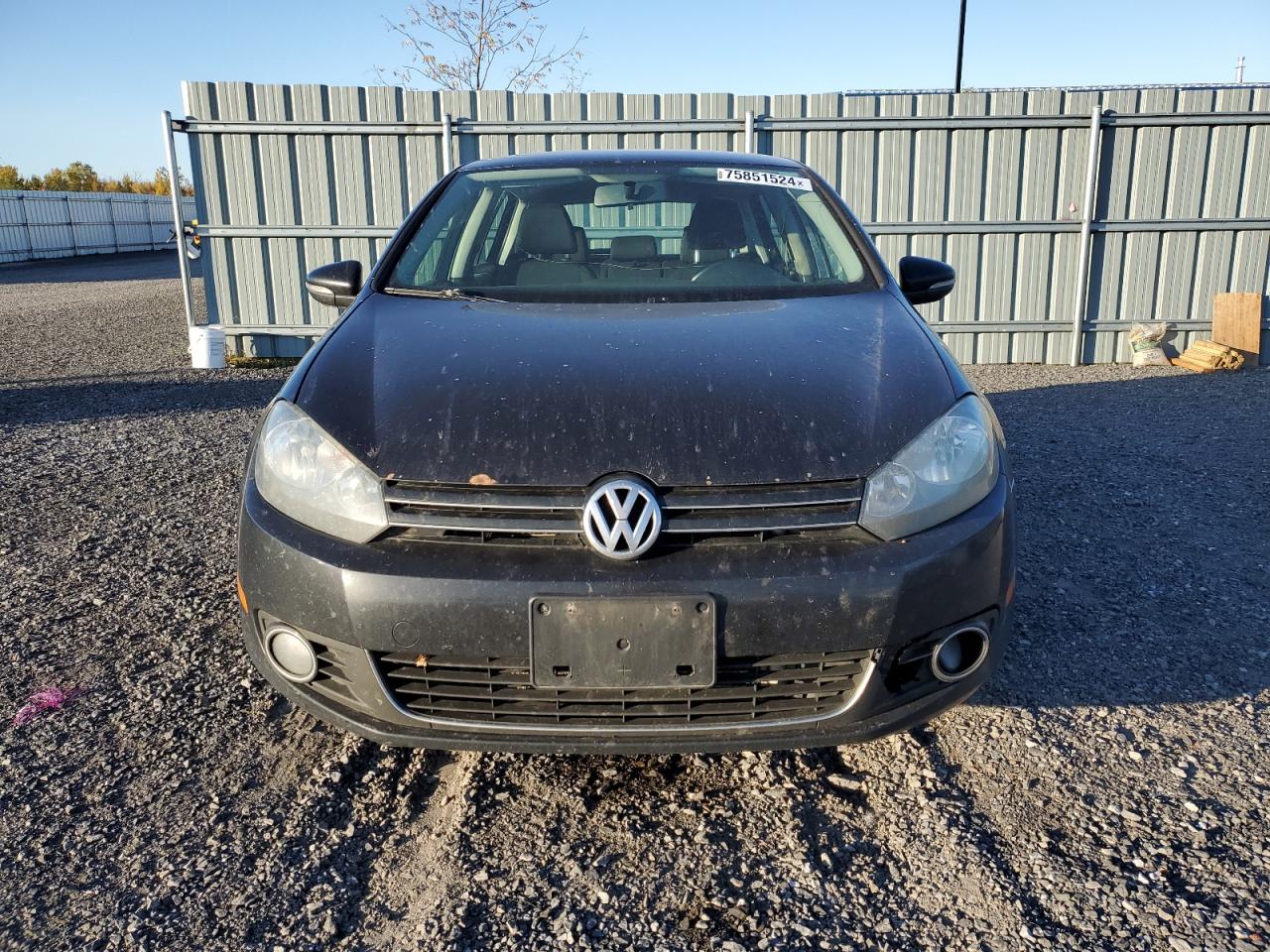 2013 Volkswagen Golf VIN: WVWNM7AJ3DW138130 Lot: 75851524