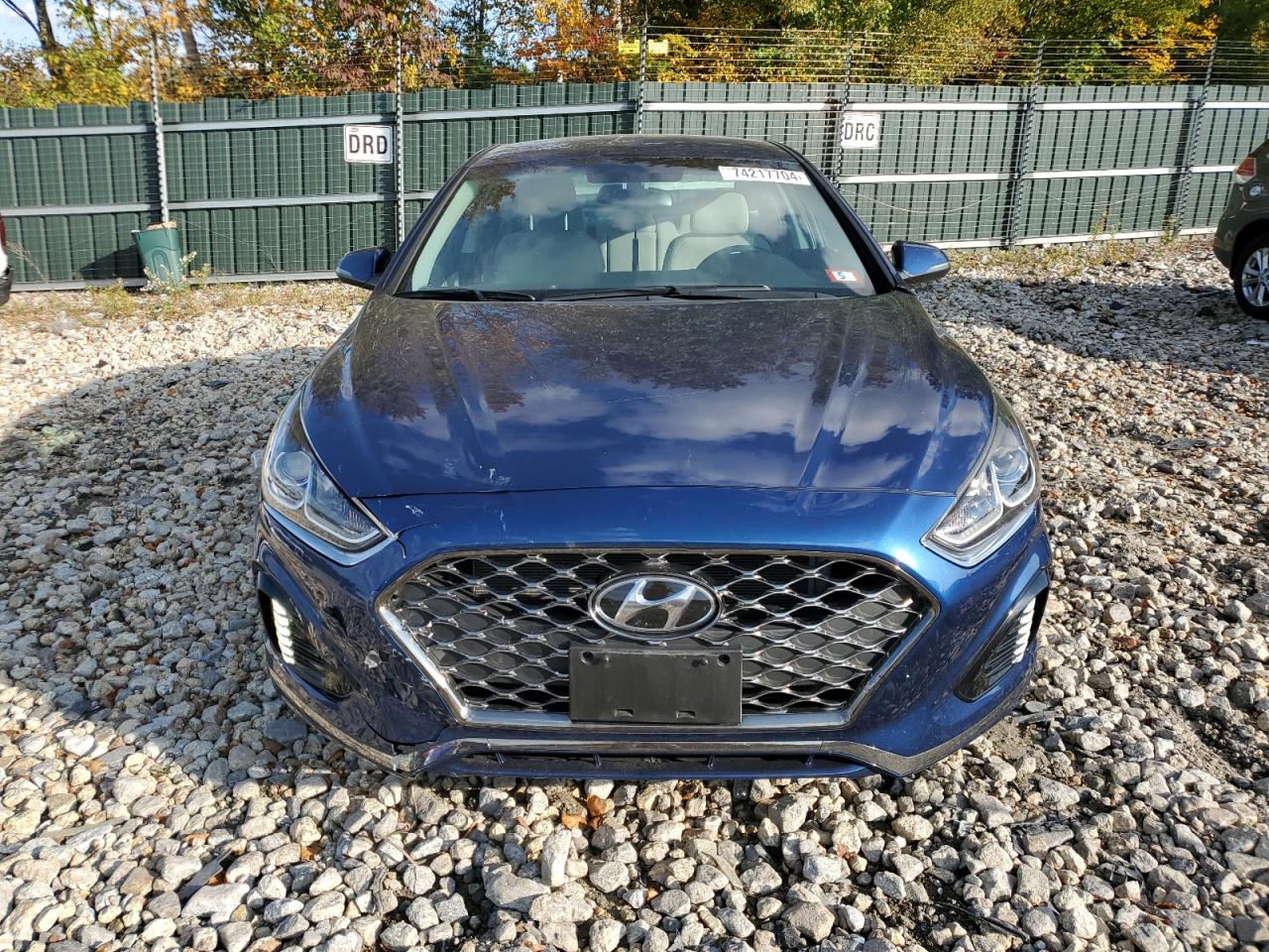 5NPE34AF3KH809599 2019 Hyundai Sonata Limited