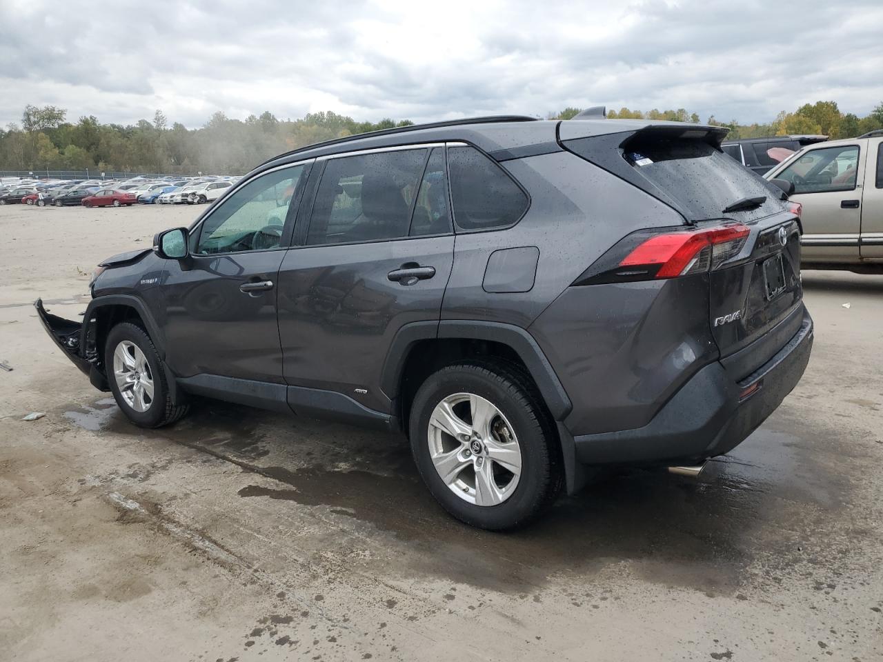 2T3RWRFV2KW007222 2019 TOYOTA RAV 4 - Image 2