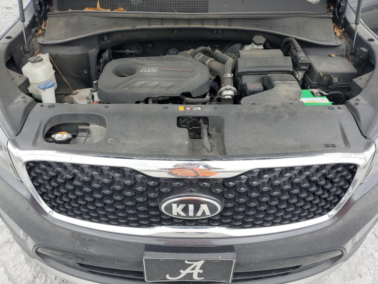 5XYPH4A13GG022438 2016 Kia Sorento Ex