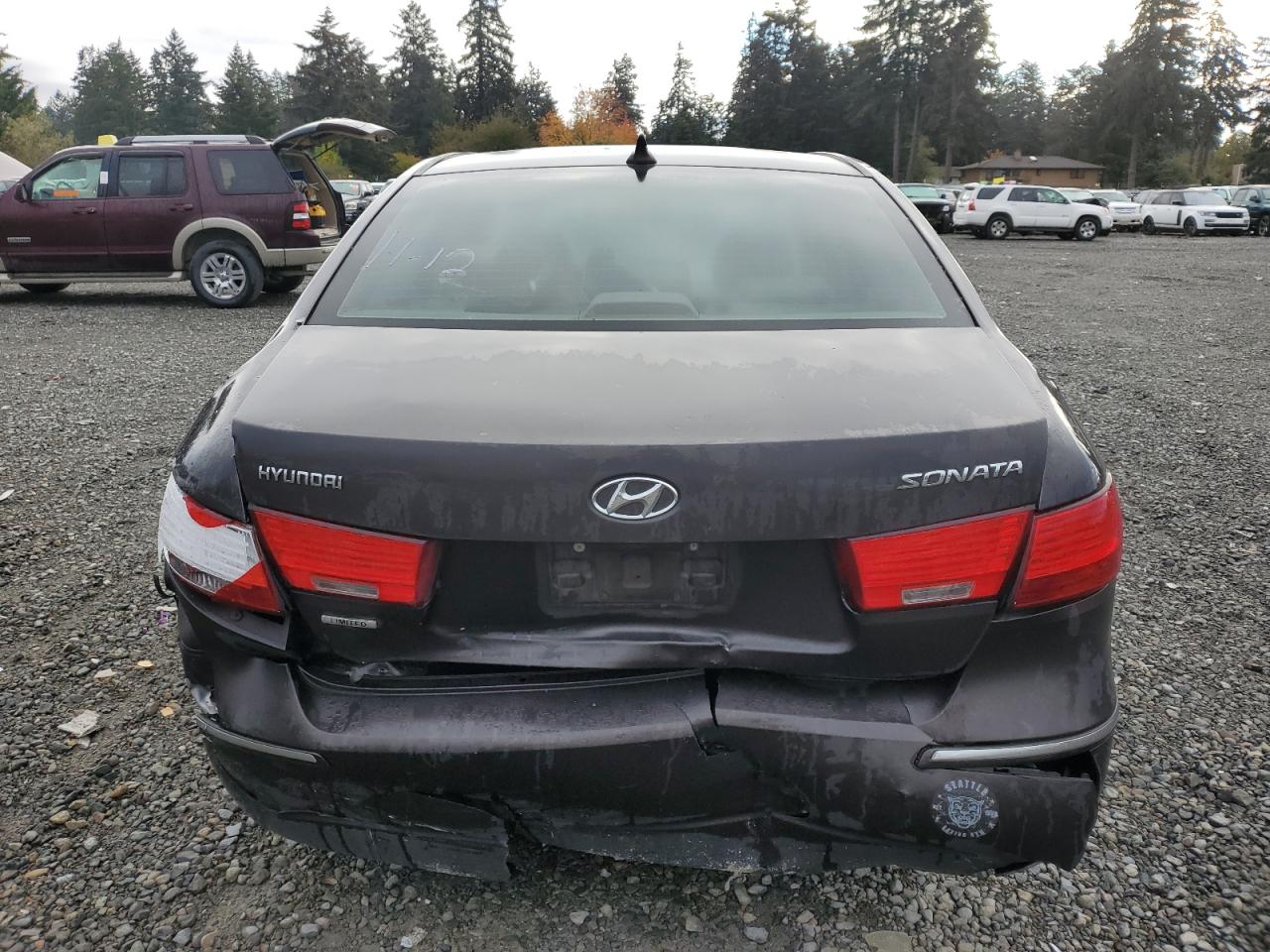 2009 Hyundai Sonata Se VIN: 5NPEU46C19H491407 Lot: 77038454