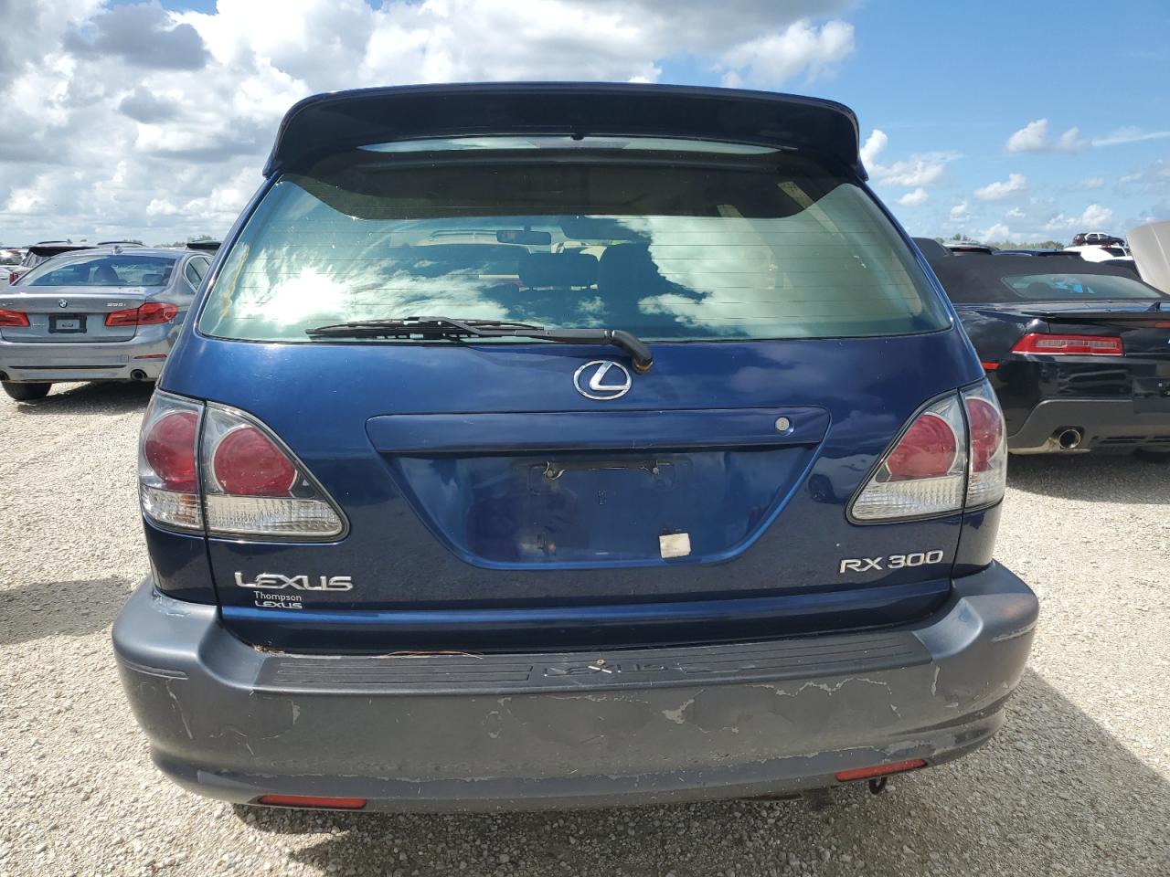 2003 Lexus Rx 300 VIN: JTJHF10U130296903 Lot: 74530844