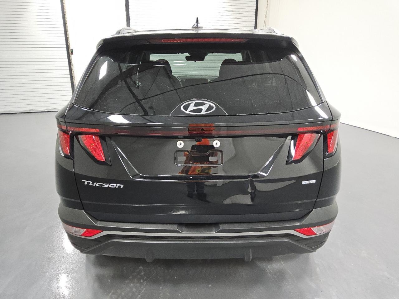 2024 Hyundai Tucson Sel VIN: 5NMJBCDE5RH407928 Lot: 77937094