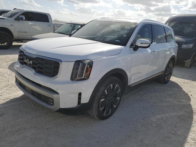 5XYP54GC6PG352706 Kia Telluride 