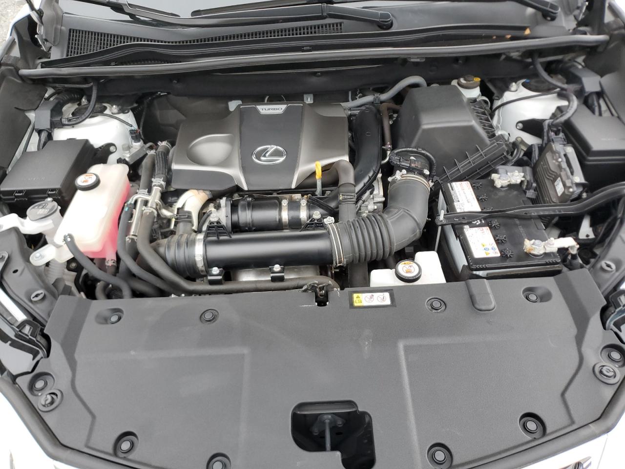 VIN JTJGARDZ8L2218377 2020 LEXUS NX no.12