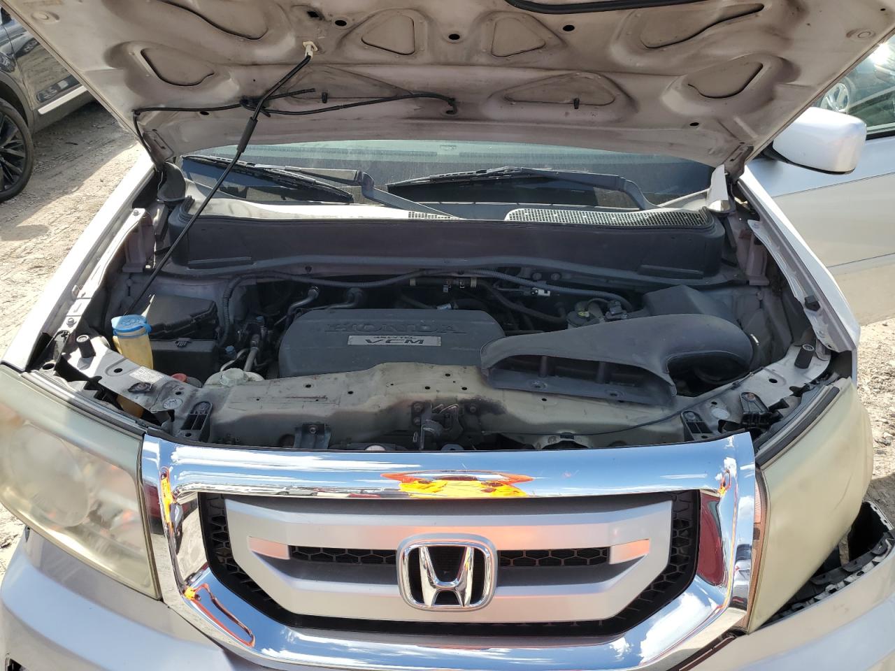 2009 Honda Pilot Exl VIN: 5FNYF38559B028412 Lot: 78808974