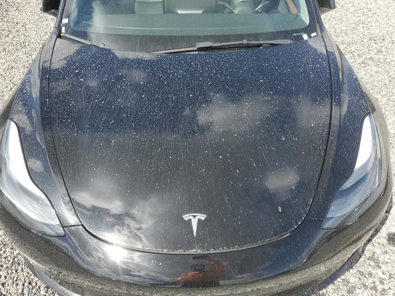 2023 Tesla Model 3 VIN: 5YJ3E1EA0PF455481 Lot: 73889274