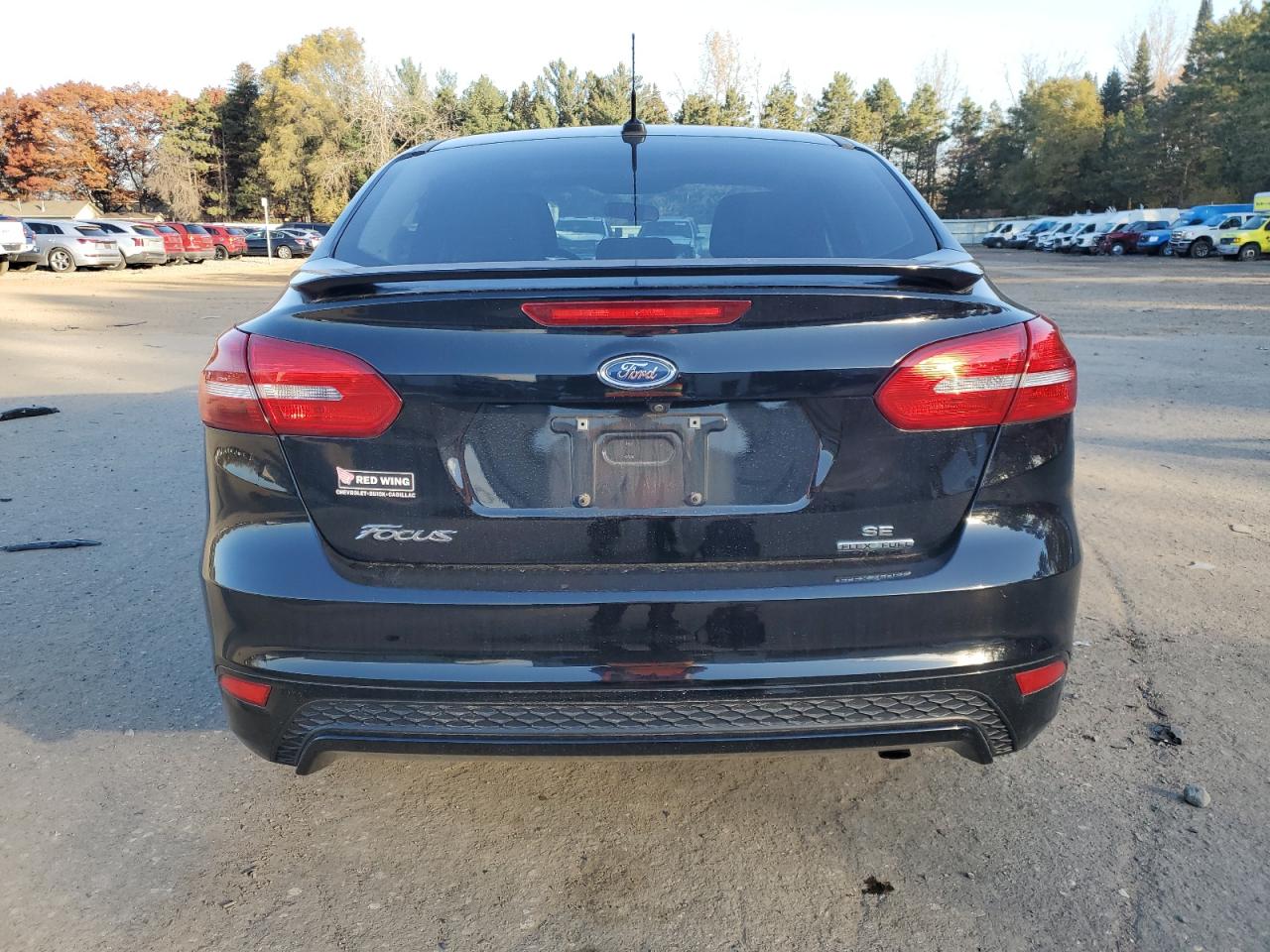 2016 Ford Focus Se VIN: 1FADP3F22GL395479 Lot: 78207984