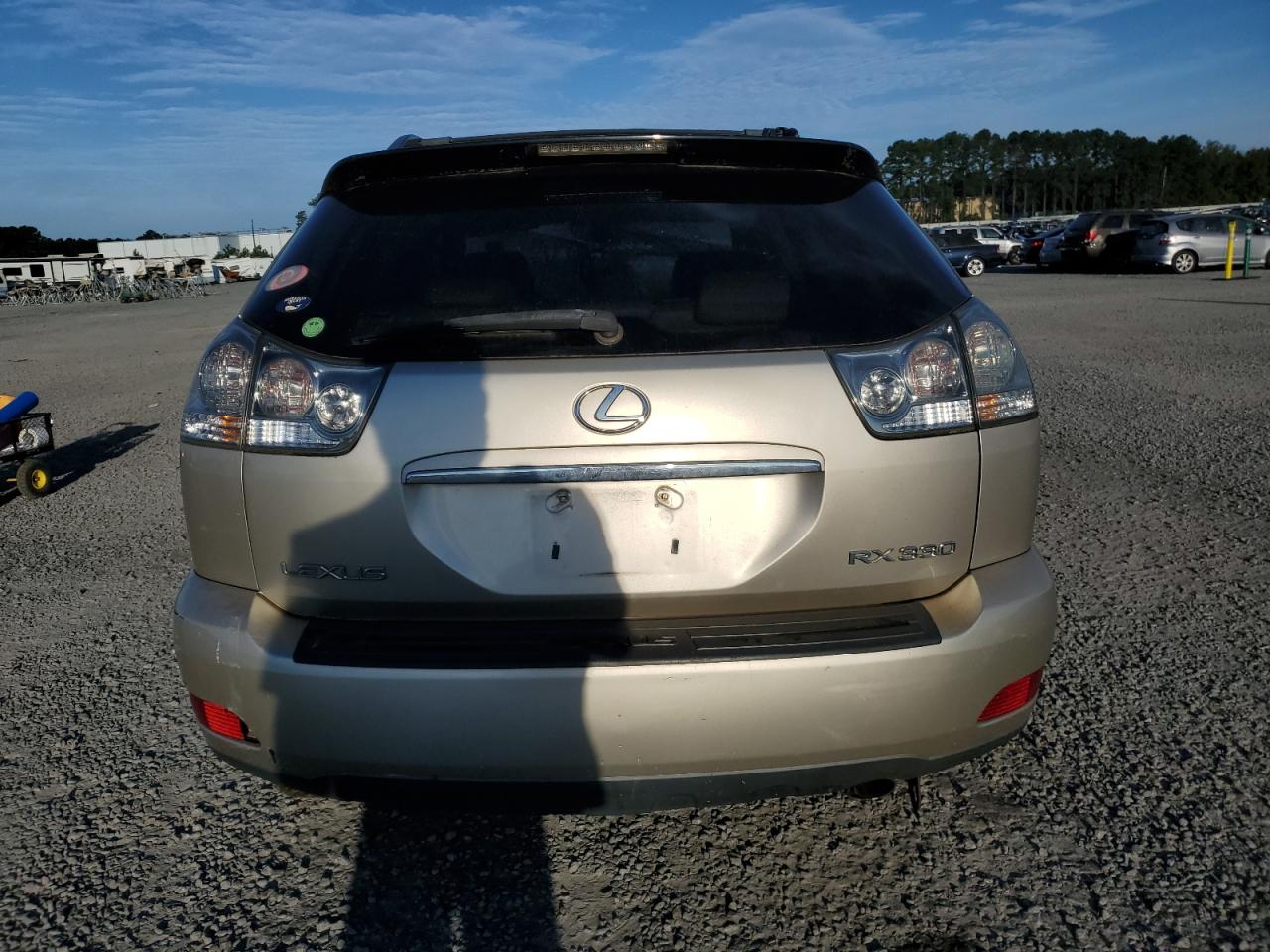 2005 Lexus Rx 330 VIN: 2T2HA31U25C073561 Lot: 74719154