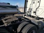 2019 Freightliner Cascadia 126 for Sale in Reno, NV - Minor Dent/Scratches