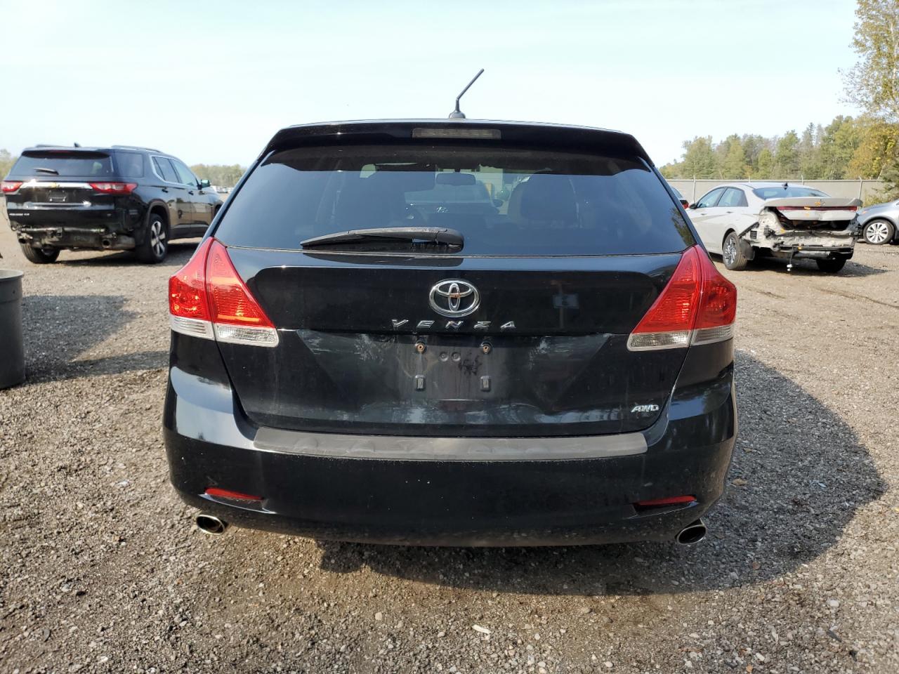 2010 Toyota Venza VIN: 4T3BK3BB3AU040914 Lot: 74007704