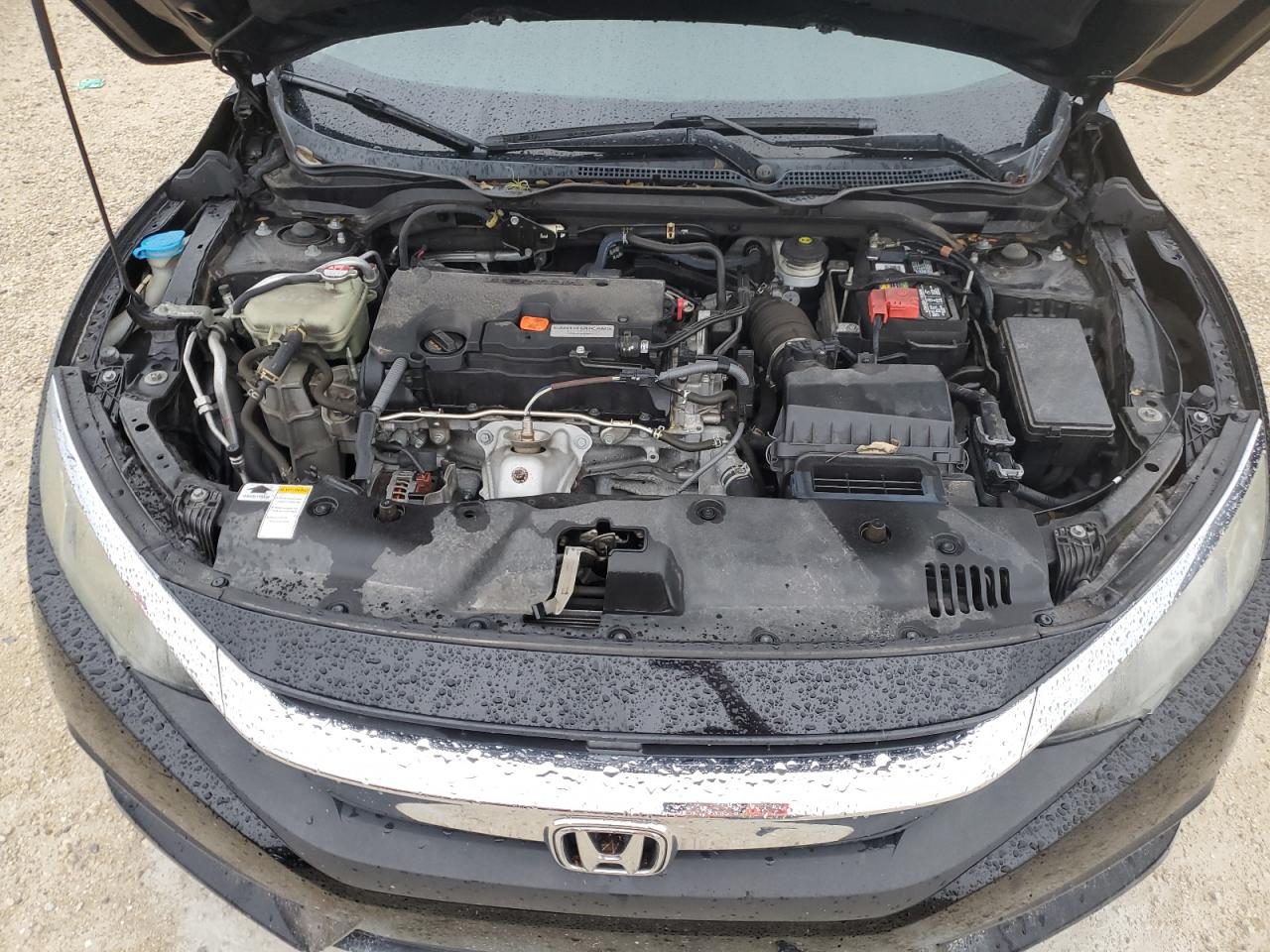 19XFC2F51GE006598 2016 Honda Civic Lx